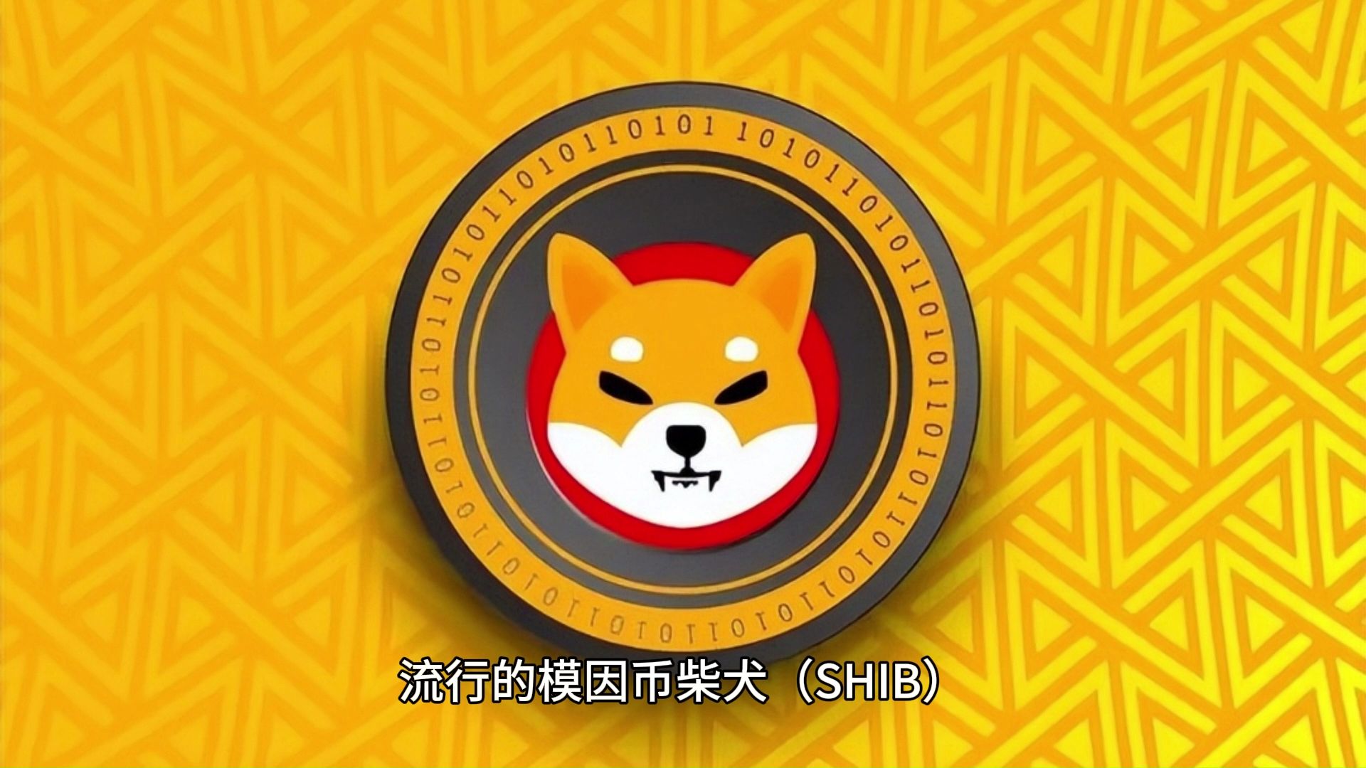 柴犬币 (SHIB) 的价格预计在 2025 年上涨 90%哔哩哔哩bilibili