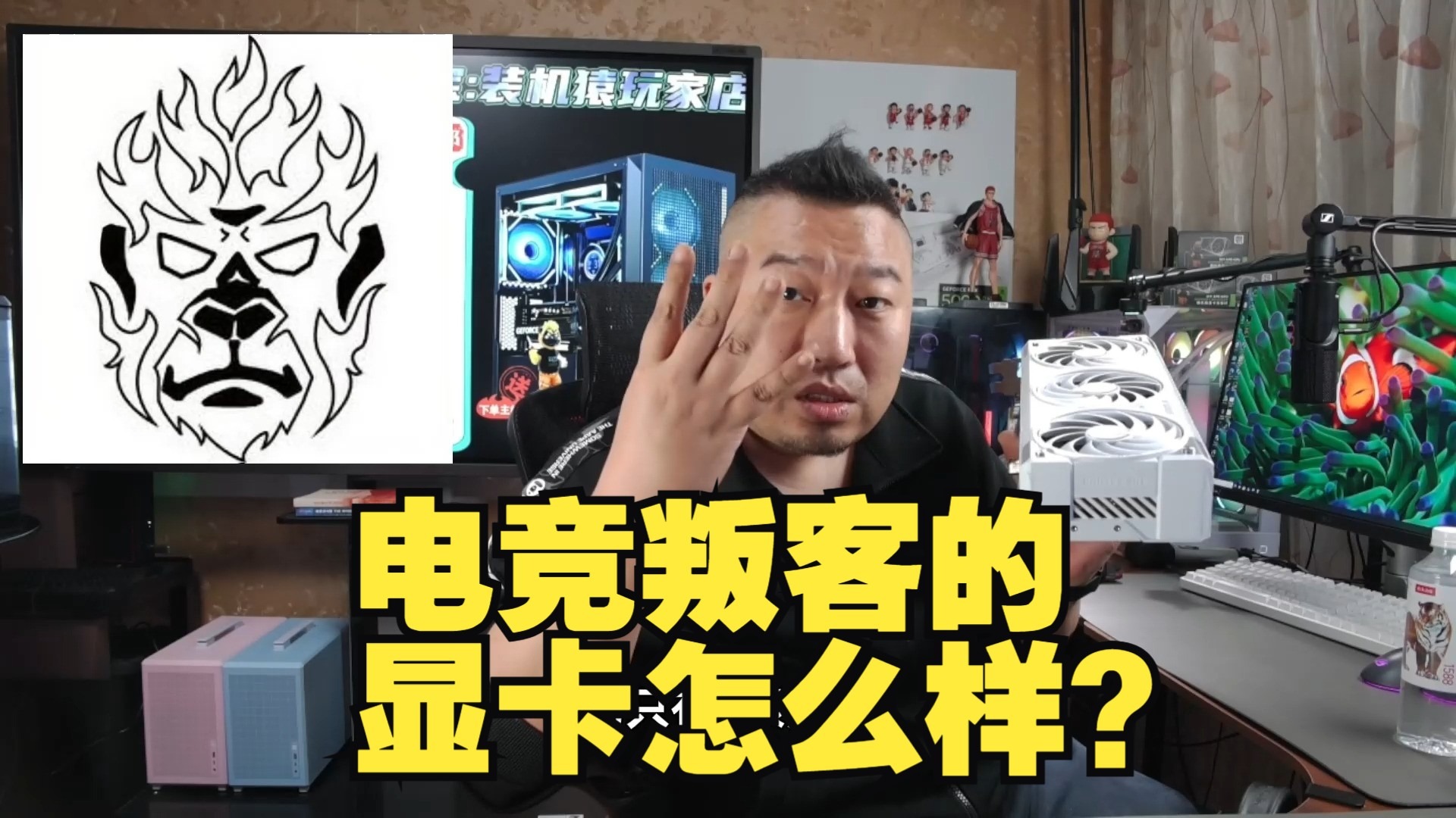 观众提问:电竞判客的显卡怎么样?