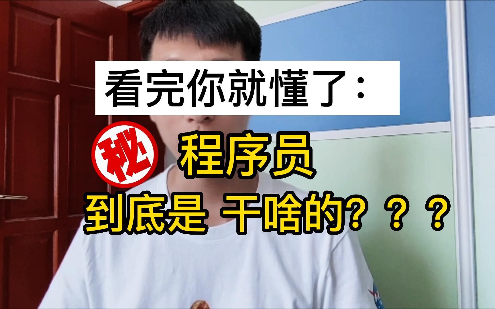 看完你就懂了:程序员 到底是干啥的?哔哩哔哩bilibili