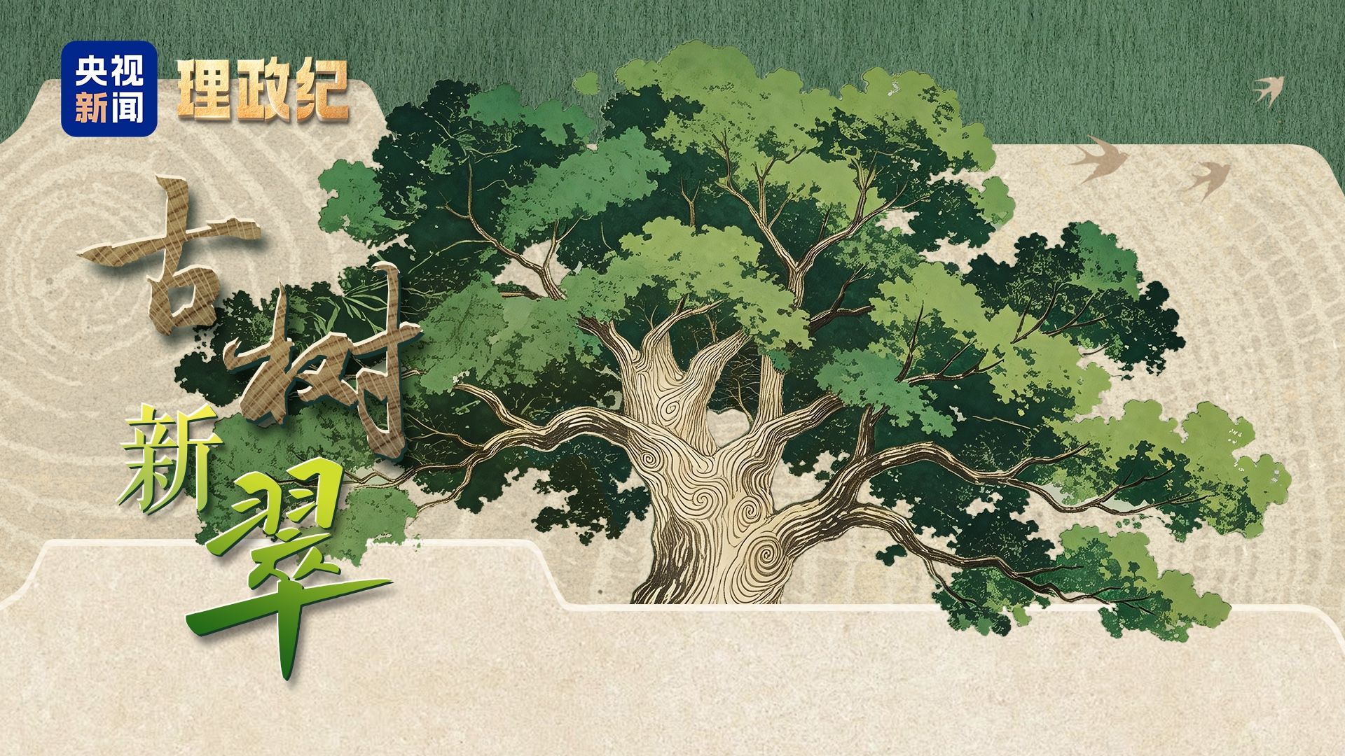 【理政纪】古树新翠