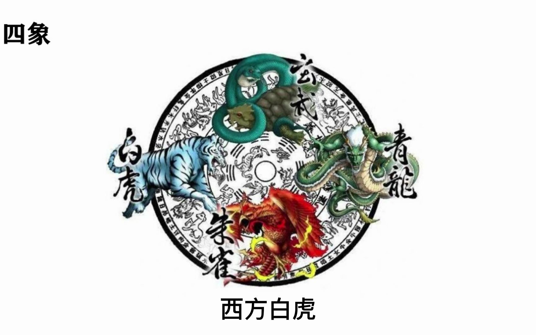 实用八字命理入门之四象