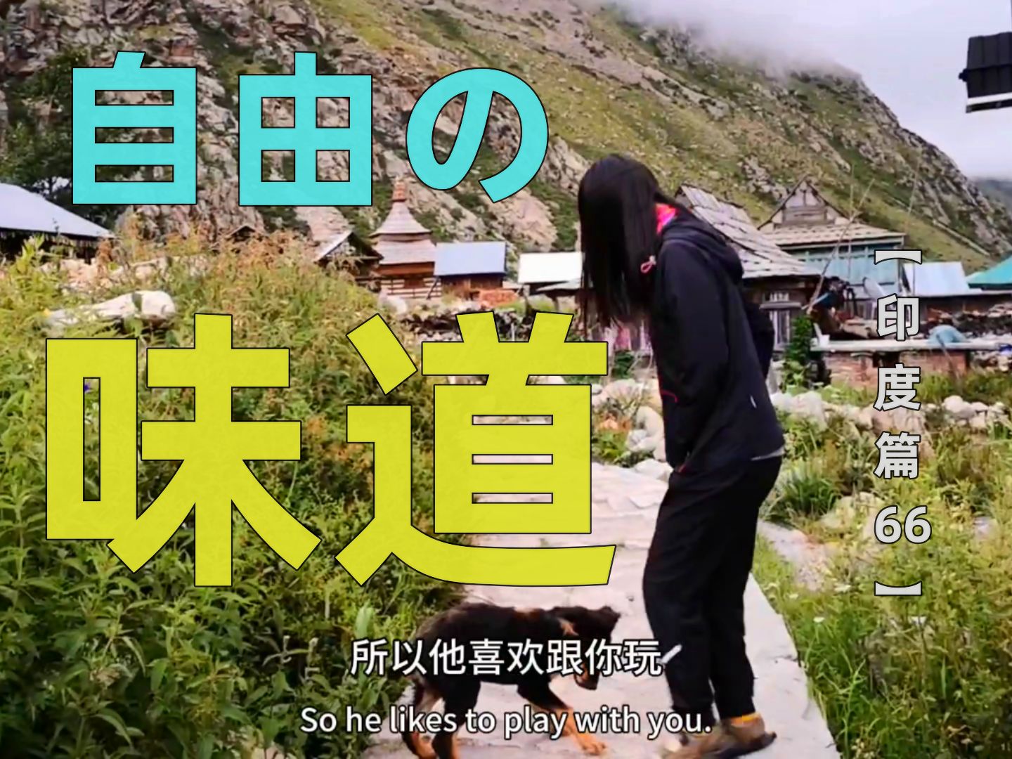 果哥玲妹浪迹天涯纪录片第104集【印度篇66】- 小玲把别人家的小狗拐