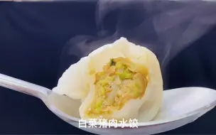 Tải video: 肉馅水饺怎么调馅好吃？我来一步步告诉你！