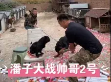 Скачать видео: 助理：烂命一条 不服就干 反正我瘫痪！