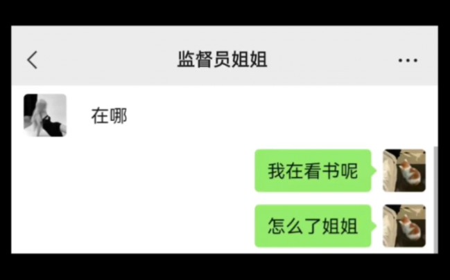 出去玩,被我的监督员抓住后……哔哩哔哩bilibili