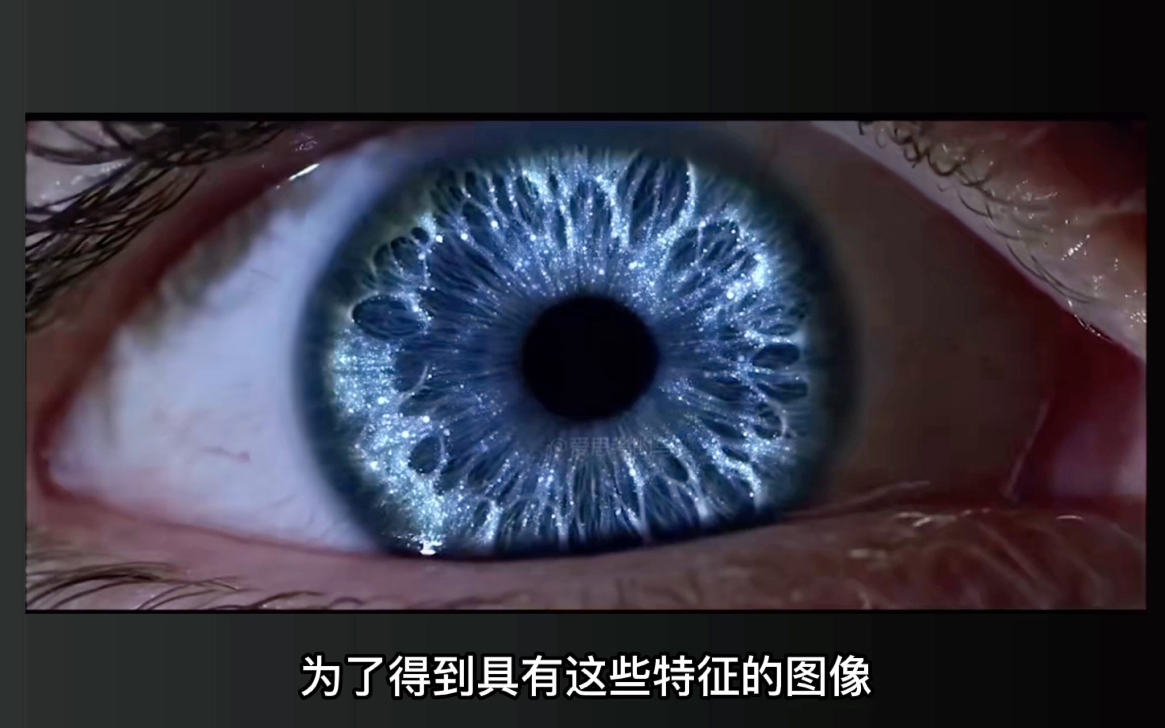 生物特征识别究竟在研究什么?哔哩哔哩bilibili