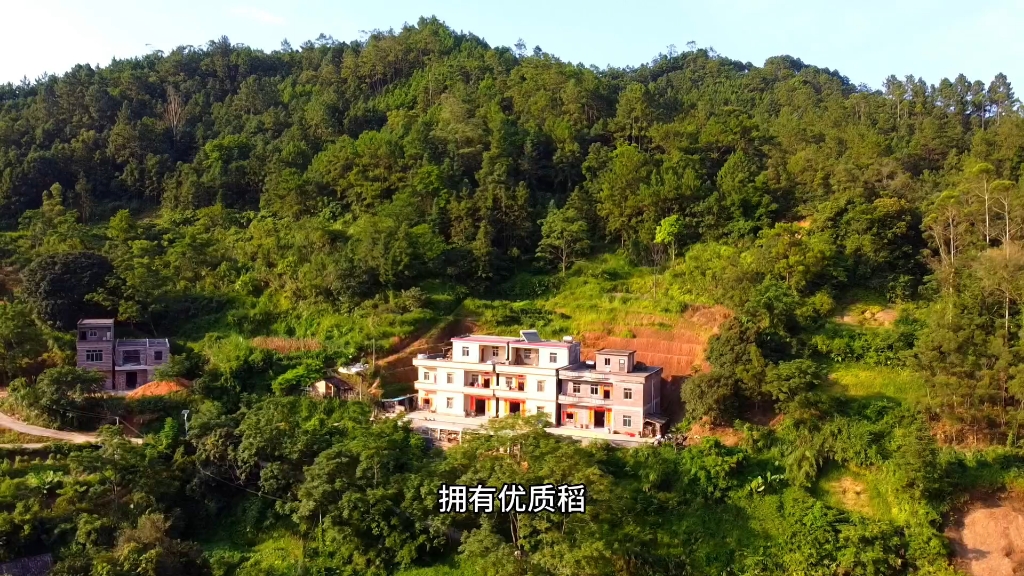 阳春市永宁镇庙龙村,美丽乡村风光