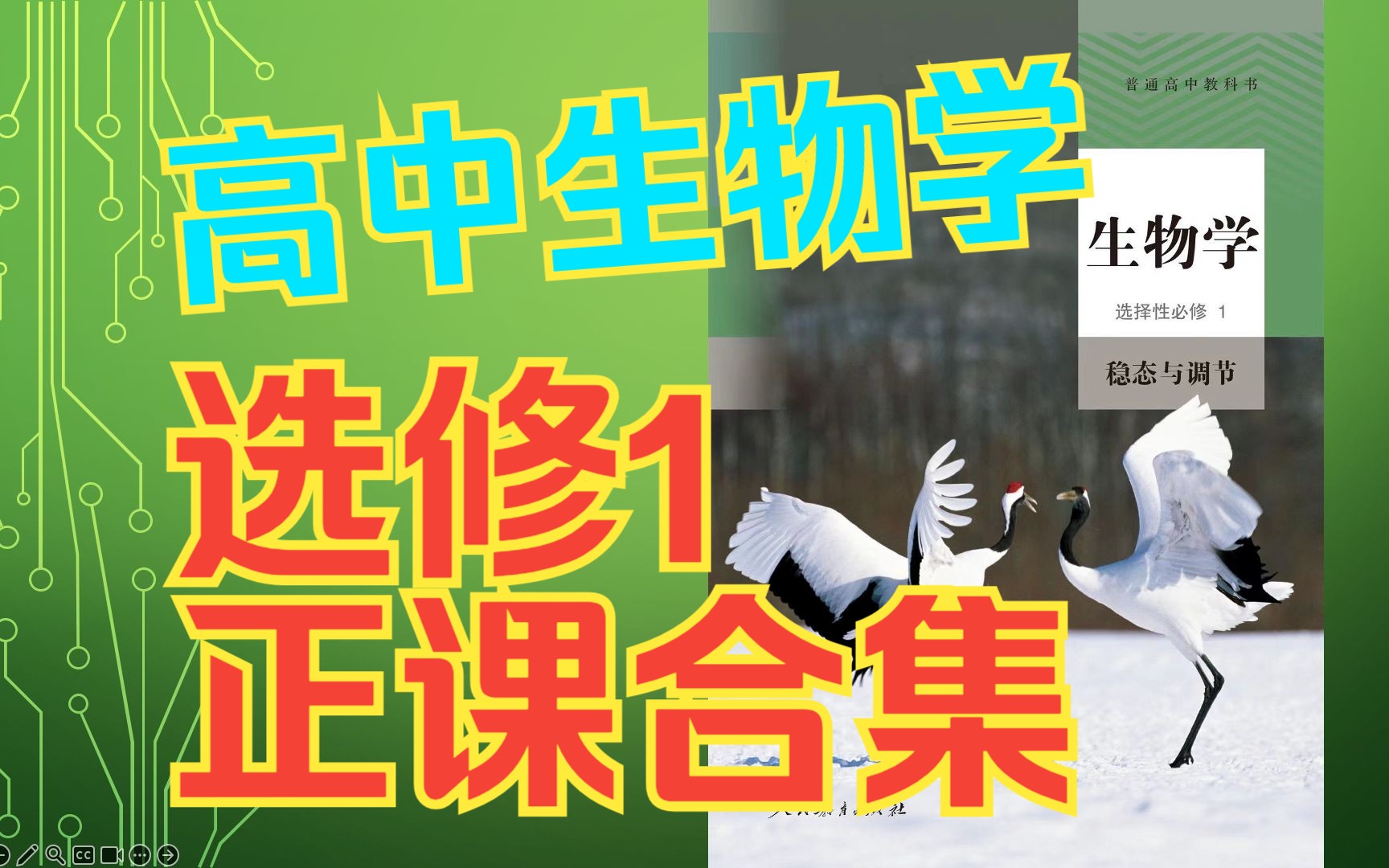 [图]【2024重录】高中生物选修1合集稳态与调节 正课同步习题真题新教材选择性必修1选修一选必1新人教版新课标新高考网课生物学内环境神经体液免疫调节植物激素