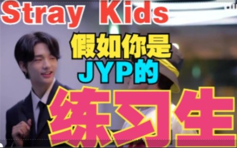 【Stray Kids】如果你是JYP娱乐的练习生,你会怎么做?每天都可以见到Stray Kids哦~简直就像做梦一样~哔哩哔哩bilibili