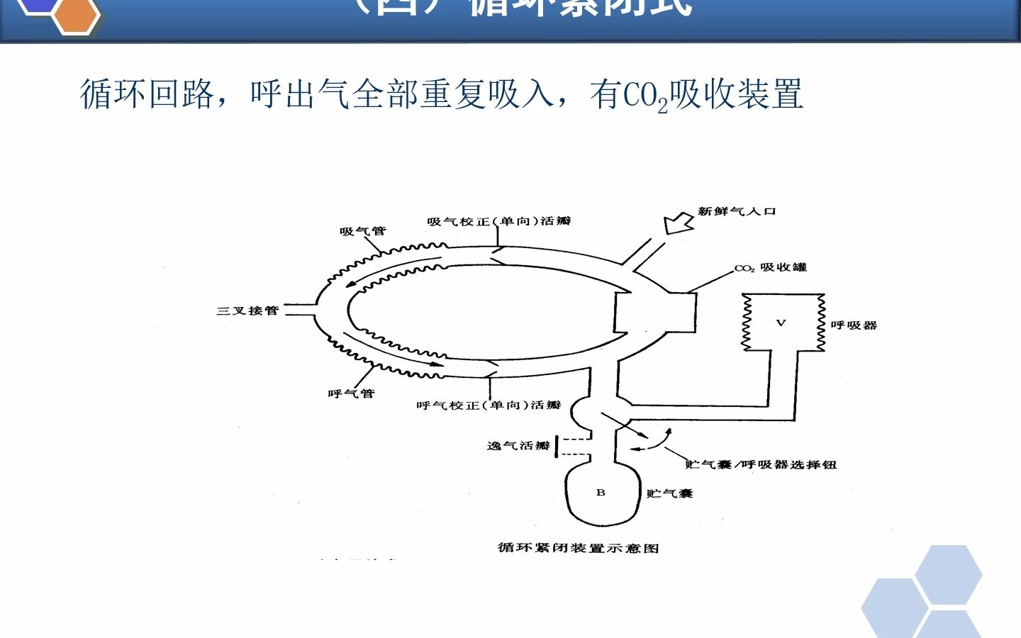 临床麻醉PPT吸入全身麻醉哔哩哔哩bilibili