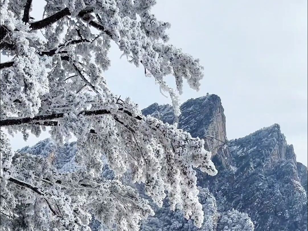 12月19日河南南阳,“冬游中原 老家河南”主题线路发布,“冰雪+康养”“冰雪+体育”,为游客带来独特的冬日旅游体验.哔哩哔哩bilibili