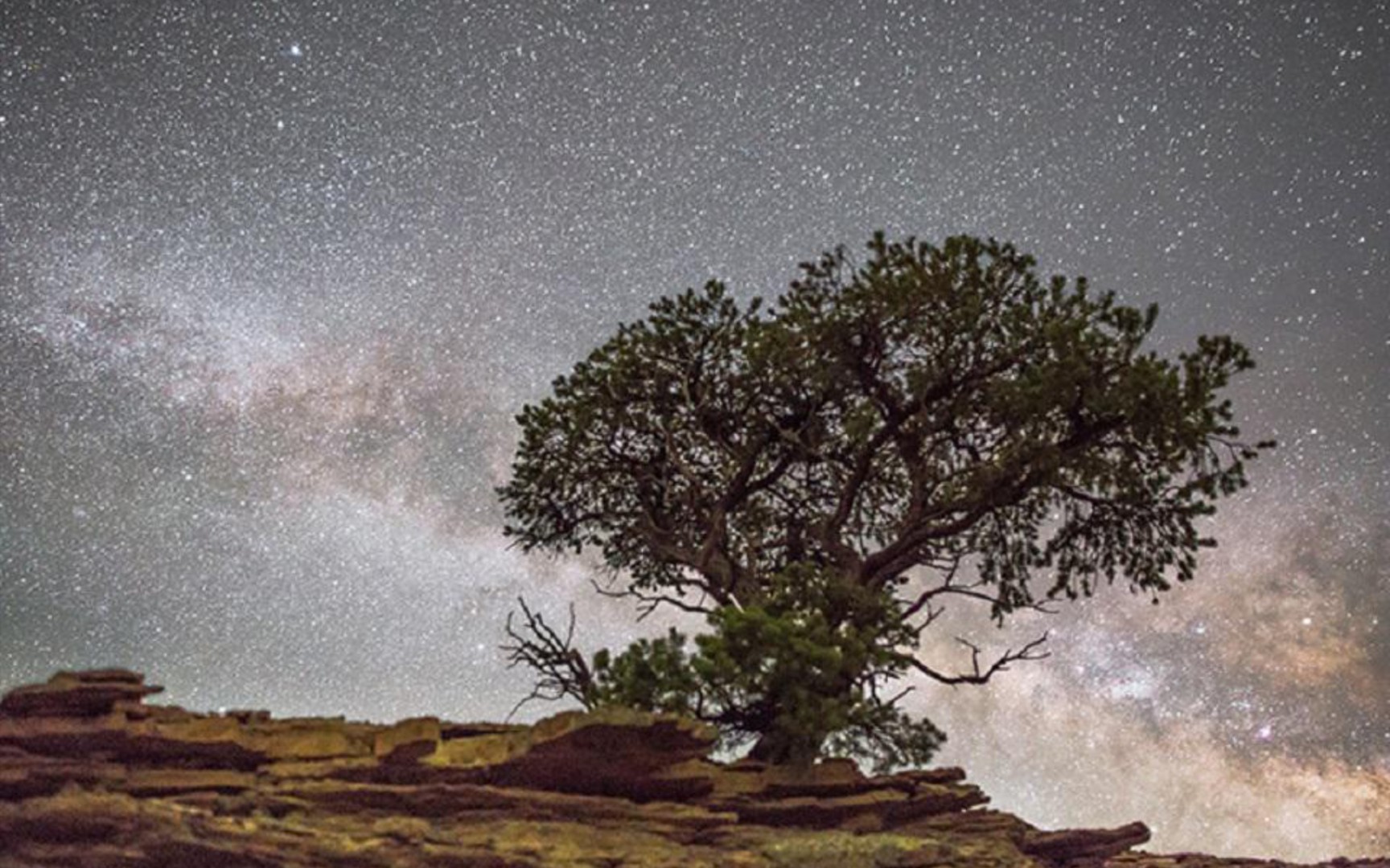 [图]路边的花好像你天上的星星也好像你爱上你的时候你皆是万物万物皆是你 晚星（逆时针向） 每日一推纯音乐～～～