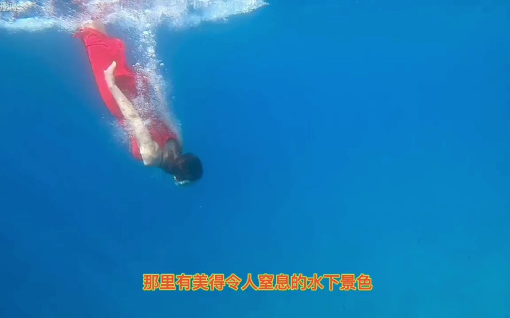 红海是世界上最热的海,也是顶级的潜水胜地哔哩哔哩bilibili