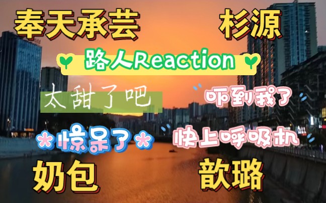 【SNH48奉天承芸&杉源&奶包&歆璐CP向视频Reaction]路人第一次看,真的被吓到了!哔哩哔哩bilibili