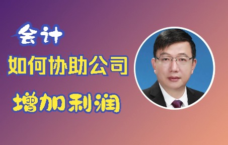 会计如何协助公司增加利润哔哩哔哩bilibili