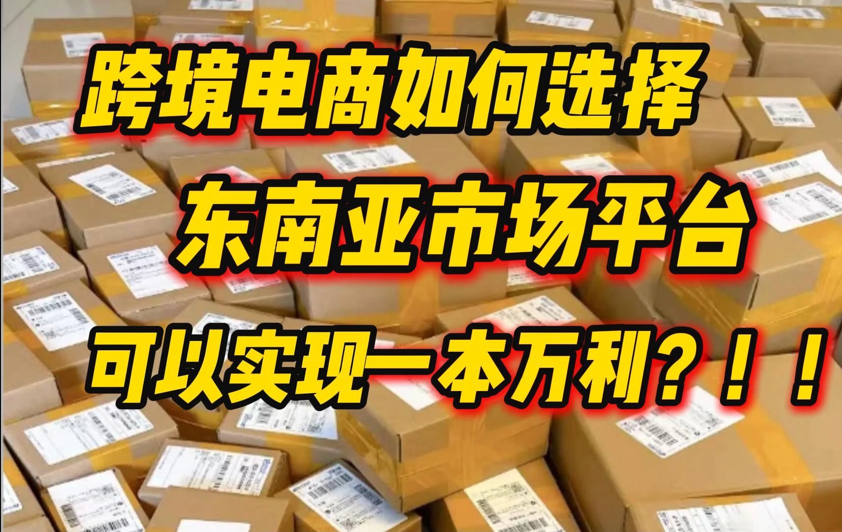 跨境电商如何选择东南亚市场平台,可以实现一本万利?!和我学,轻松赚他个100w!!!哔哩哔哩bilibili