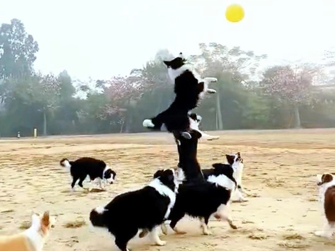 一群高材生在一起就是不一样