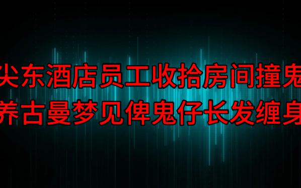 【粤语纯音频】尖东酒店员工收拾房间撞鬼,养古曼梦见俾鬼仔长发缠身哔哩哔哩bilibili