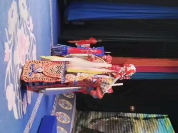 张蛇龙先生的下河东-赶驾