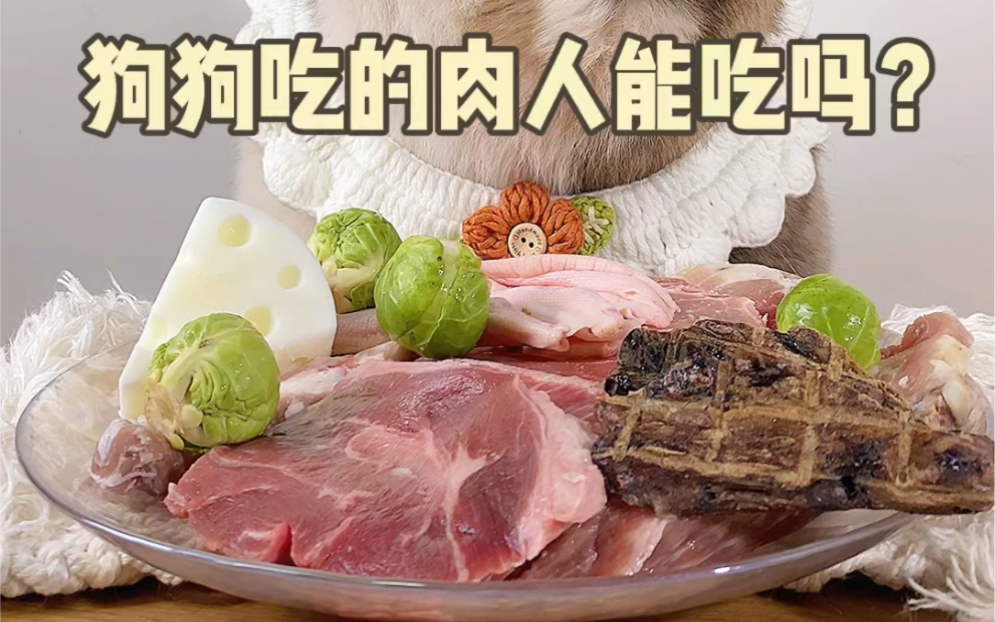 狗狗吃的生骨肉 人能吃吗?哔哩哔哩bilibili