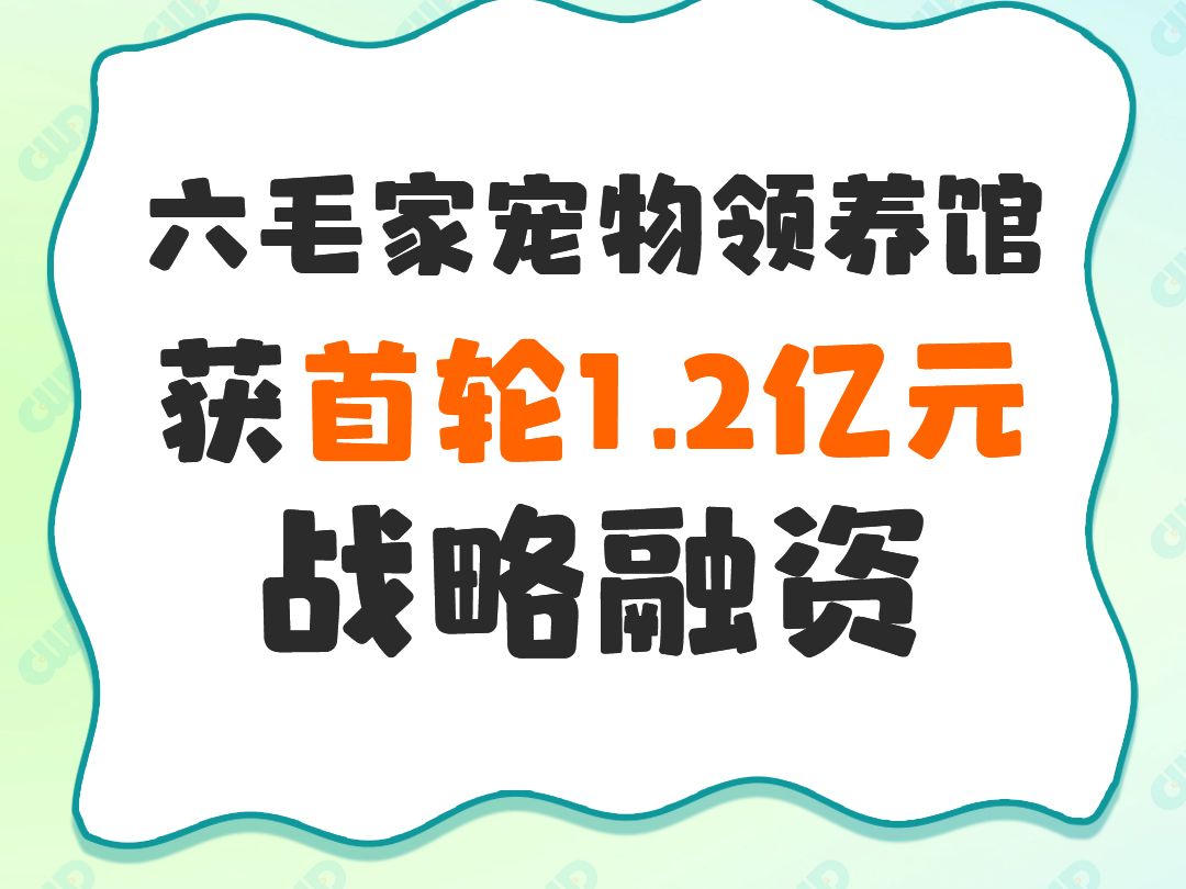 六毛家宠物领养馆获首轮1.2亿元战略融资哔哩哔哩bilibili