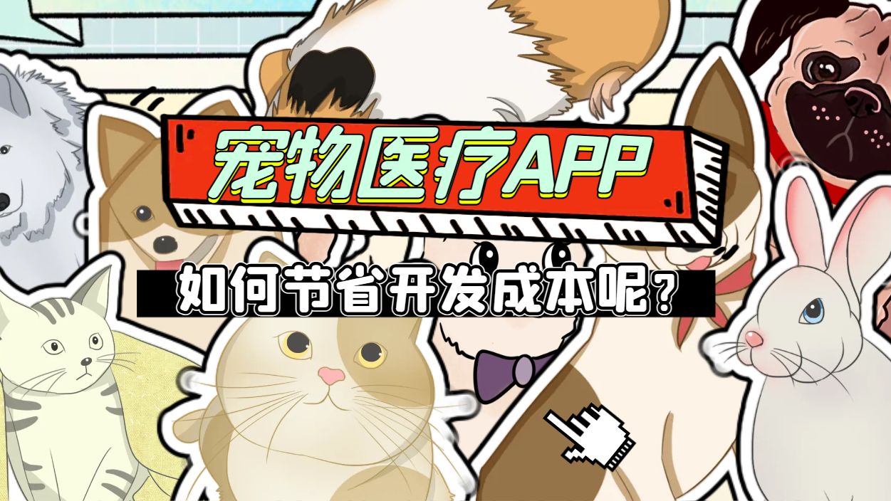 宠物医疗APP如何节省开发成本?哔哩哔哩bilibili