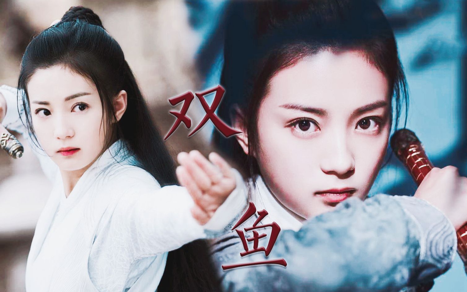 【一寸相思丨苏云落】张雅钦丨战斗群像丨月下映双鱼白首雁归去_哔哩