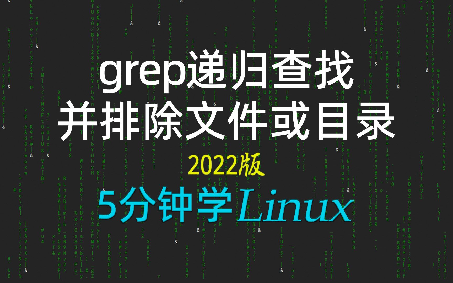 [5分钟学linux] 69ls和grep两种递归的用法以及包含和排除2022新linux极速入门哔哩哔哩bilibili