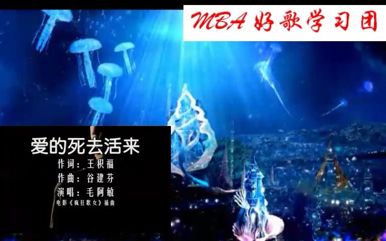 [图]毛阿敏经典歌曲5：我想有个家-爱的死去活来-绿叶对根的情意-灯塔-一样的天空-光荣与梦想