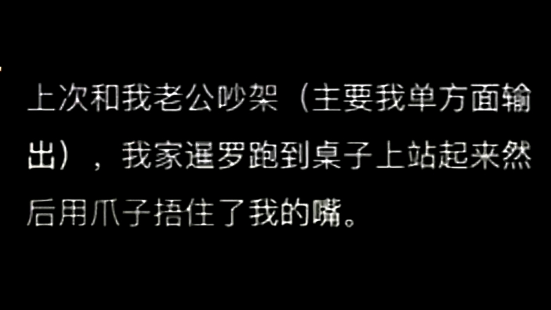 暹罗猫为什么叫菲佣?因为它会无差别照顾每一个人哔哩哔哩bilibili