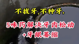 Descargar video: 不拔牙、不种牙，5味药解决牙齿松动＋牙龈萎缩。