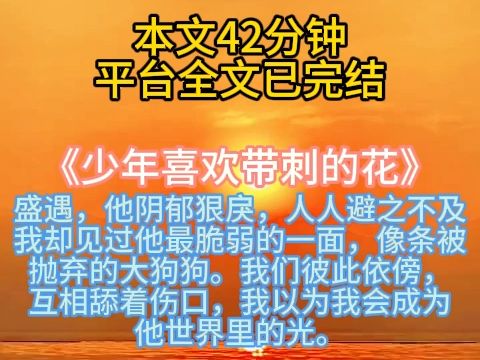 【本文42分钟】少年喜欢带刺的花|流浪狗文学|救赎|甜虐校园哔哩哔哩bilibili