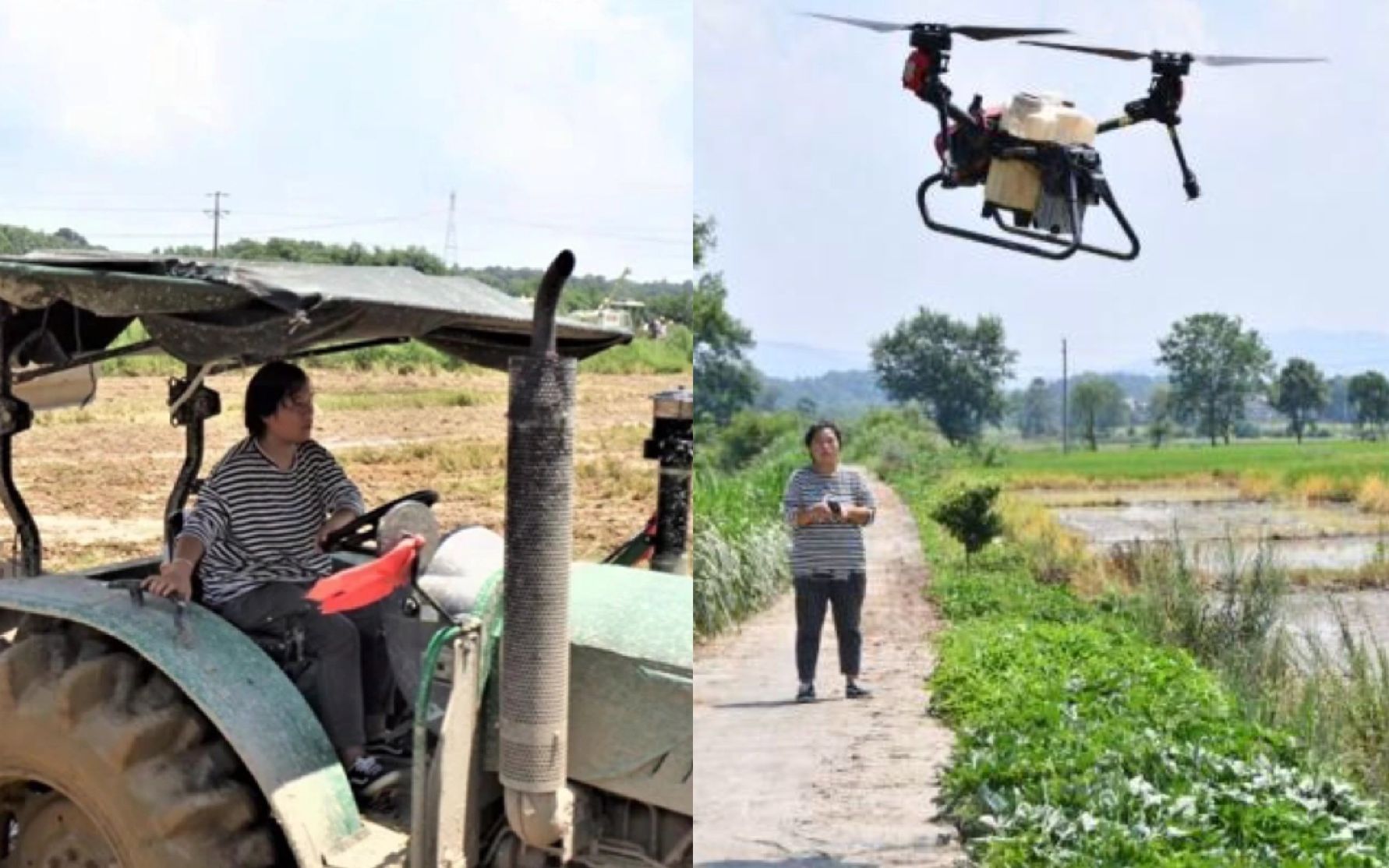 24岁女子一个人种500亩地,如今有了农场还有了自己的团队哔哩哔哩bilibili