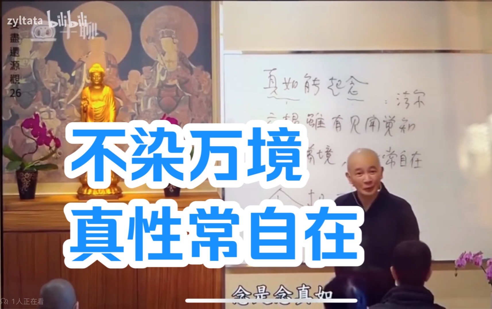 不染万境,真性常自在——体佛法师法语哔哩哔哩bilibili