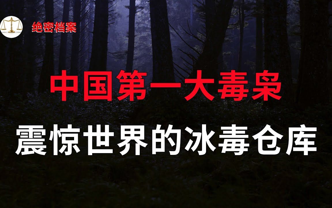 中国第一大毒枭,震惊世界的冰毒仓库,以及干的那些奇葩让人拍案叫绝的事  大案要案纪实录  绝密档案哔哩哔哩bilibili