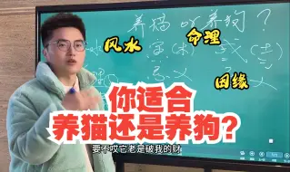 Download Video: 你适合养猫还是适合养狗？从命理、环境、因缘三个方面来看。