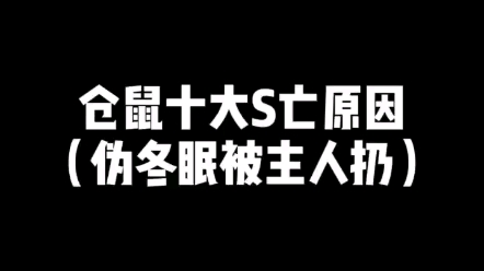 小仓鼠十大死亡原因哔哩哔哩bilibili