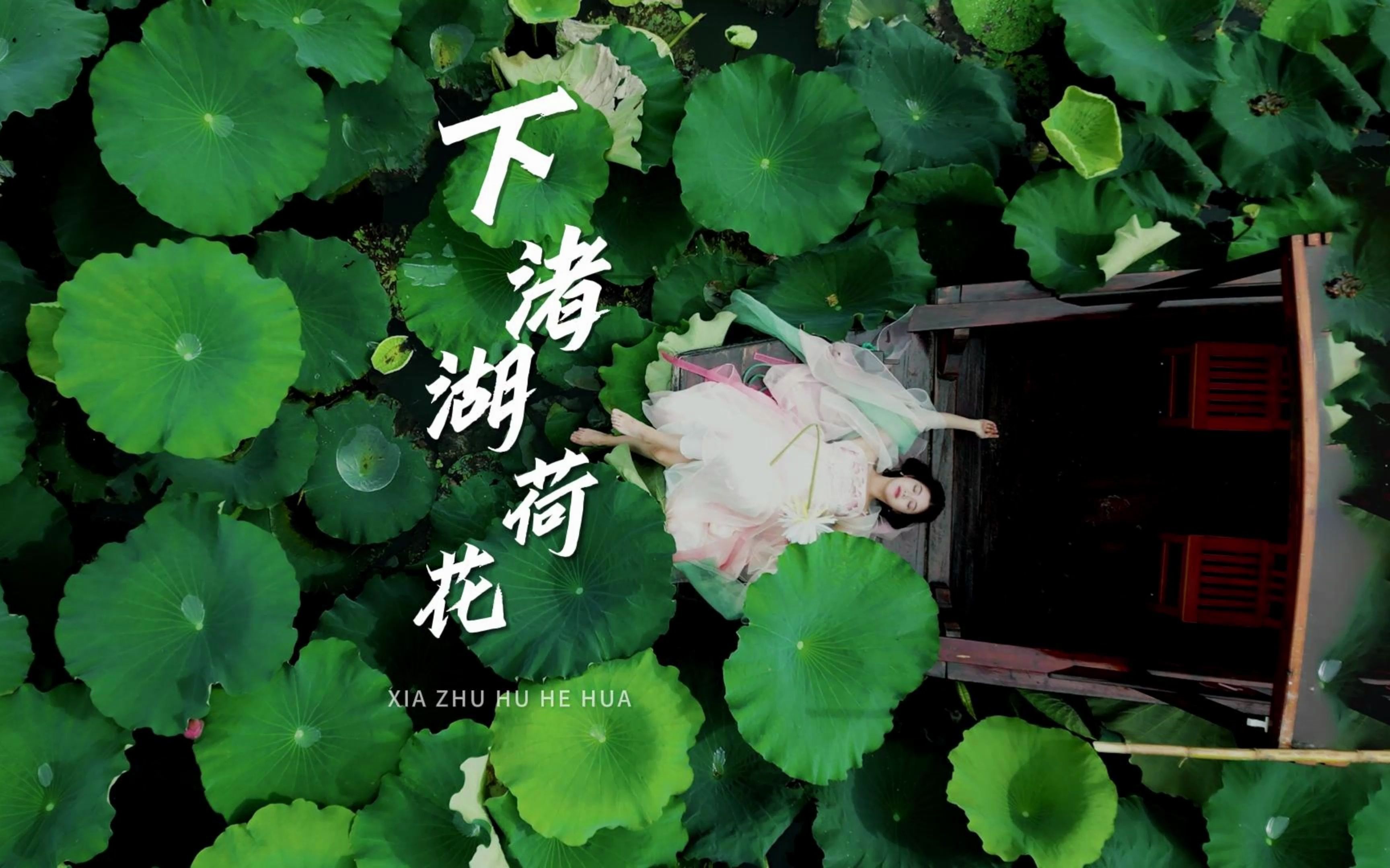 藕花深处,夏日悠长~哔哩哔哩bilibili