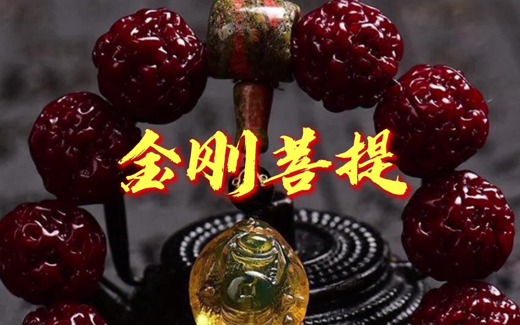 【金刚菩提】湿婆神第三只眼睛幻化成的菩提子│手串│菩提│文玩哔哩哔哩bilibili