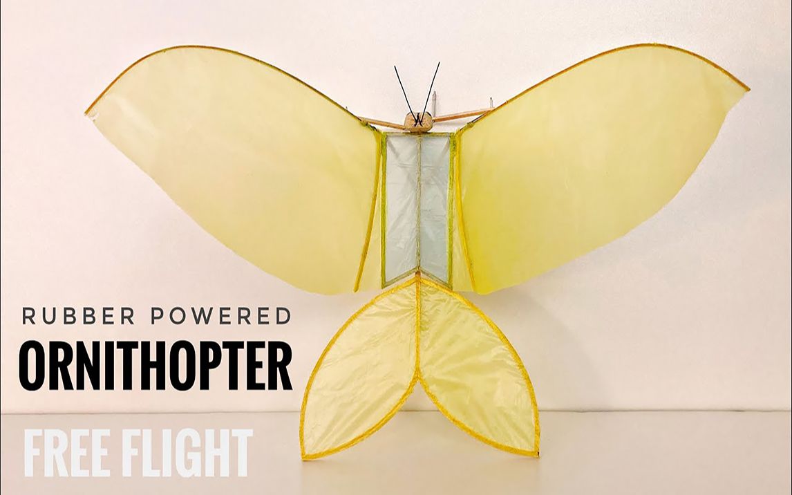 科学照进现实系列!自制"智能鸟"橡胶动力扑翼机~_哔哩哔哩_bilibili
