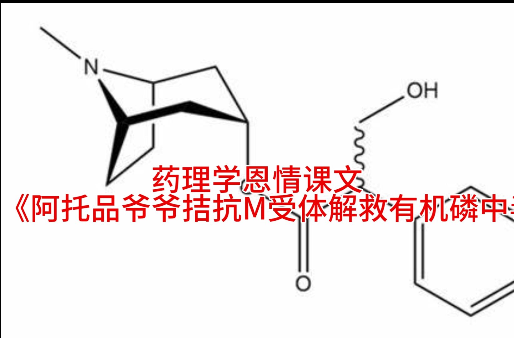 药理学恩情课文《阿托品爷爷拮抗M受体解救有机磷中毒》哔哩哔哩bilibili