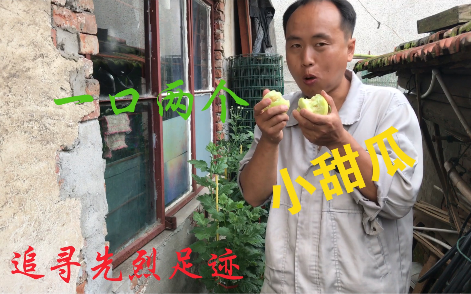 [图]下菜地摘了两个小甜瓜🍈虽小可脆不甜了！吃甜忆苦……去菜地摘了两个小甜瓜🍈虽小可脆可甜呐……吃甜忆苦