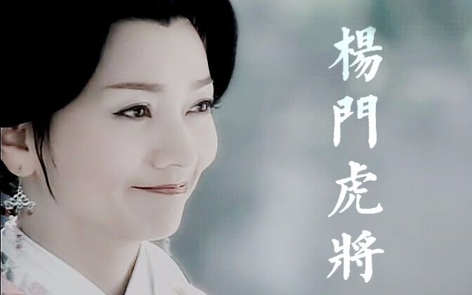 【杨门虎将】【赵雅芝】佘赛花‖第9集片段(╮(╯▽╰)╭)