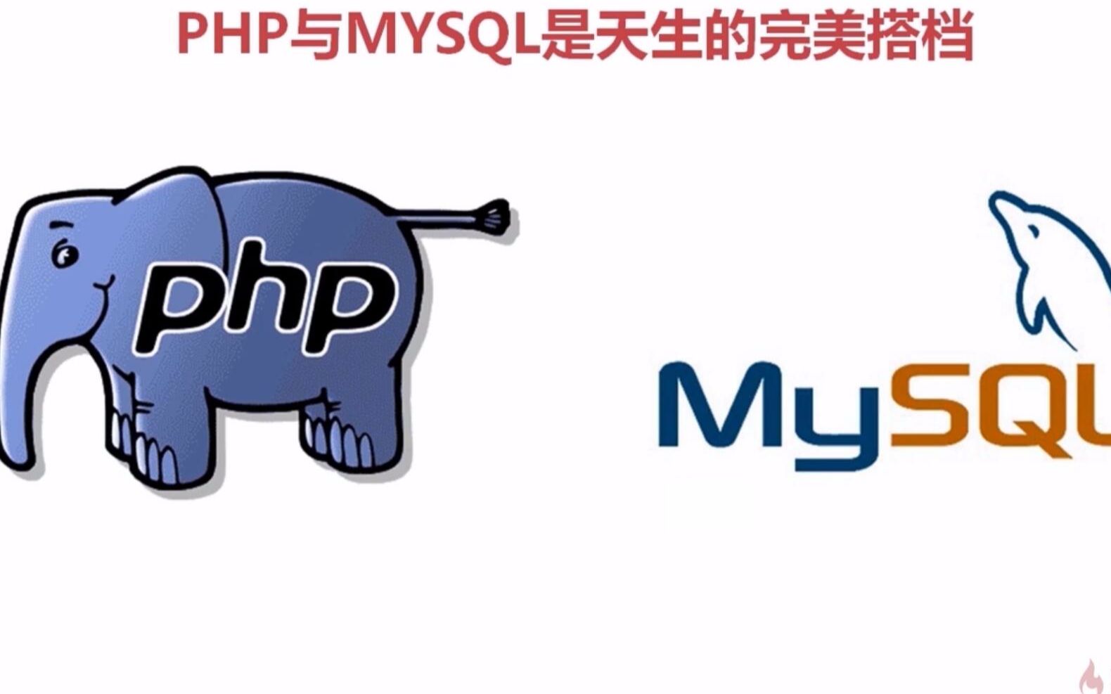 PHP与MYSQL关系大揭秘哔哩哔哩bilibili