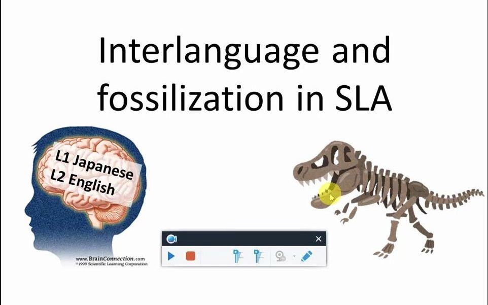interlanguageandfossilizationinslasecondlanguageacquisition中介