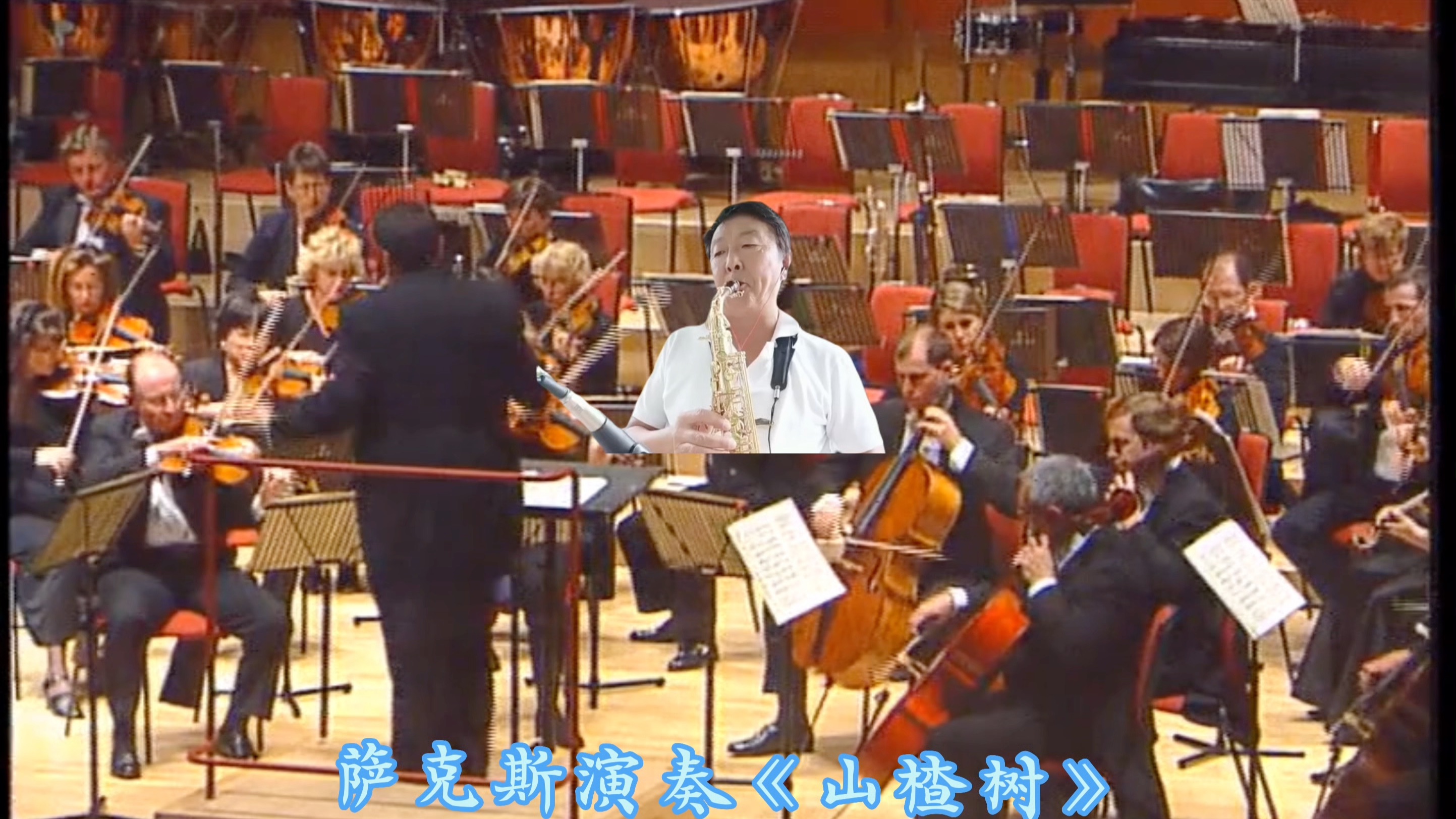萨克斯演奏《山楂树》