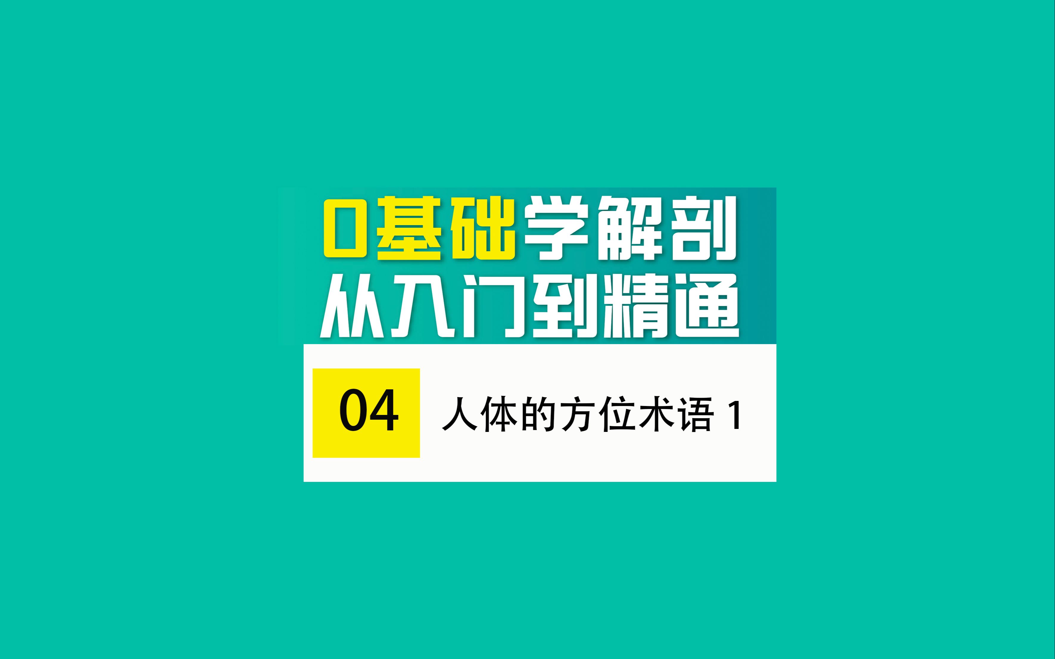 【0基础学解剖】人体的方位术语1哔哩哔哩bilibili