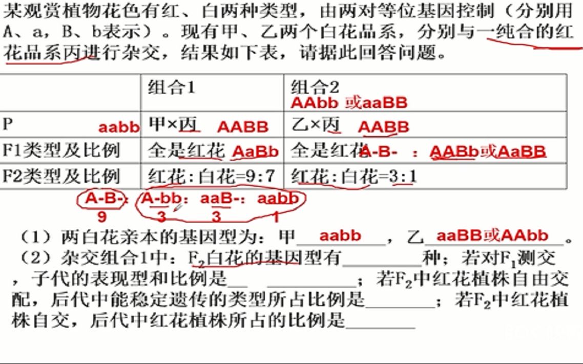 孟德尔9331基因型图解图片