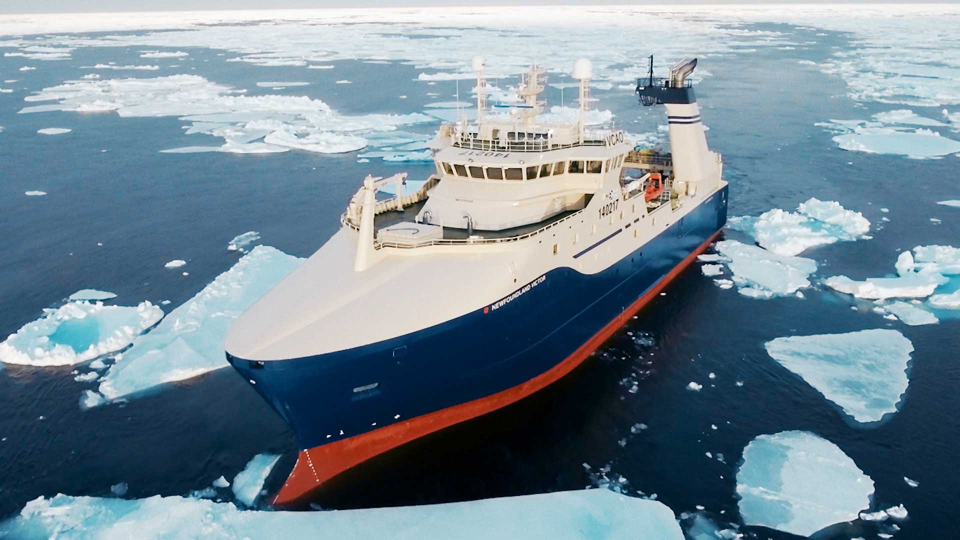 千吨级加拿大北极虾渔船冬季破冰捕虾船上加工锁住虾肉新鲜