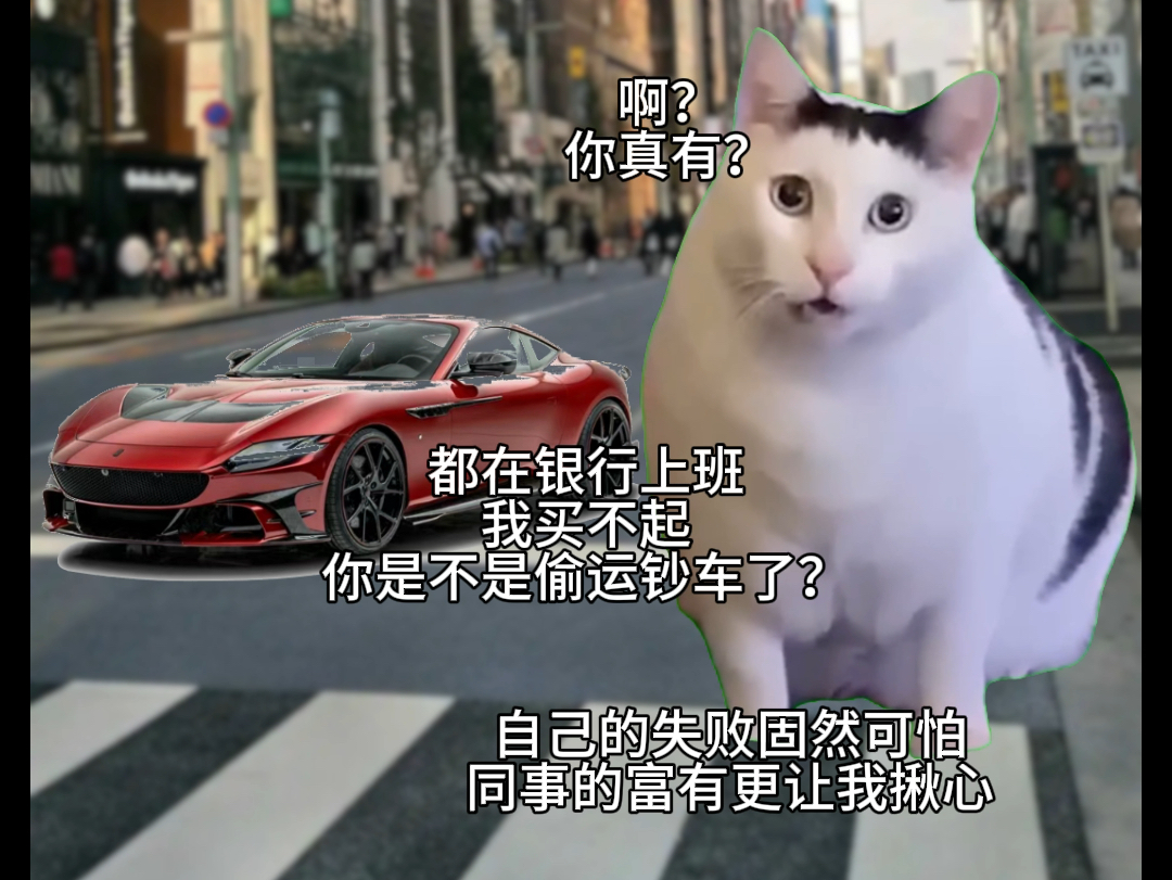 我开法拉利上班的银行网点同事【猫meme】哔哩哔哩bilibili